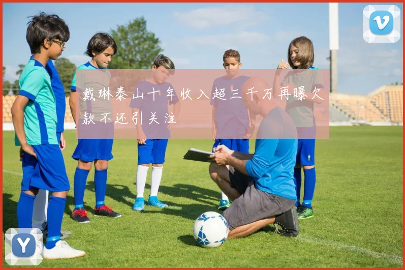 戴琳泰山十年收入超三千万再曝欠款不还引关注