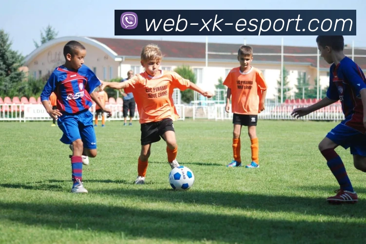 星空电竞发展历程